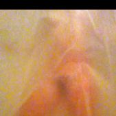 Ali Michael nude photos (iCloud hack)