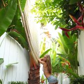 Katherine A - Tropical Beauty - Stunning 18