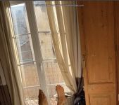 Leolulu - OnlyFans Nudes - Part 1