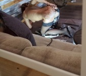 laurenthegaqueen / Lauren The GA Queen VIP - OnlyFans Nudes - Part 5