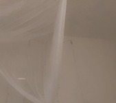 Angelicfukdoll - OnlyFans Nudes - Part 4