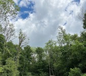 Belle Delphine - OnlyFans Nudes - Part 5